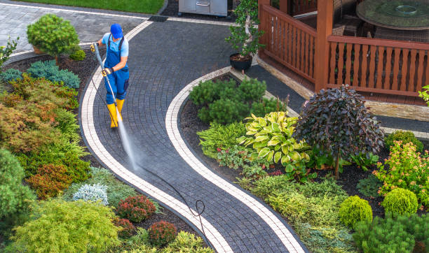 Best Roof Pressure Washing  in Lexington, TX