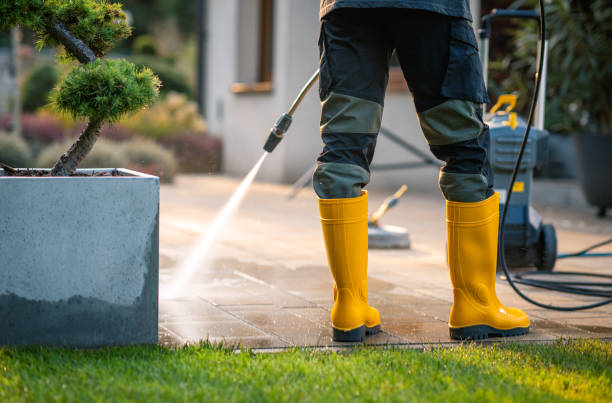 Best Exterior Home Cleaning  in Lexington, TX